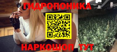 каннабис Берёзовский