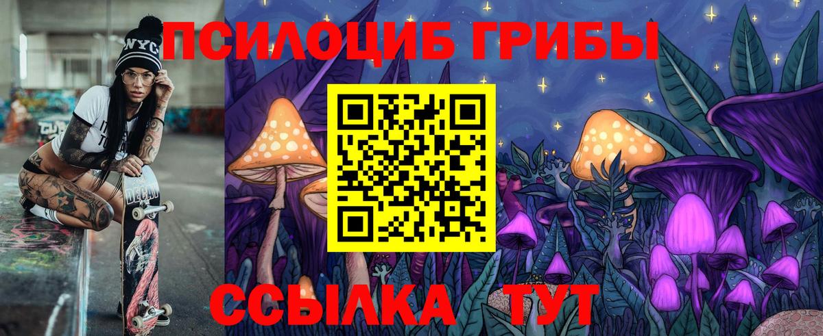 Псилоцибиновые грибы Cubensis Иваново